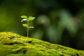 l'energie solaire Ecologie Baldassini plomberie